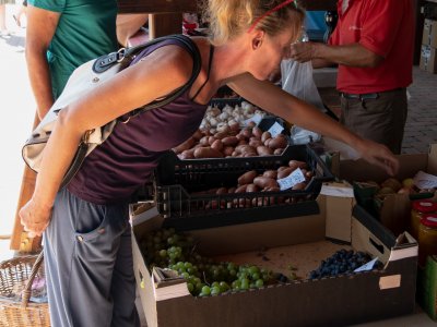 Termékek nagy választéka