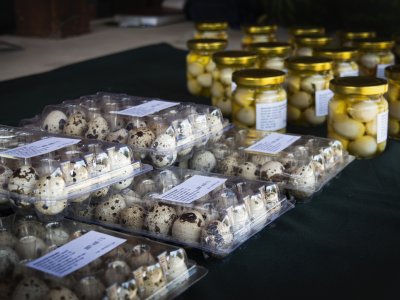 Termékek nagy választéka